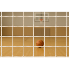 Заградительные сетки для спортзала