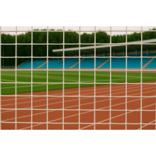 Сетки безопасности для стадионов и арен