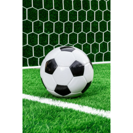 Сетки для мини-футбольных ворот, шестигранная d=5,0