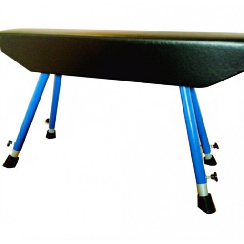 Гимнастический конь