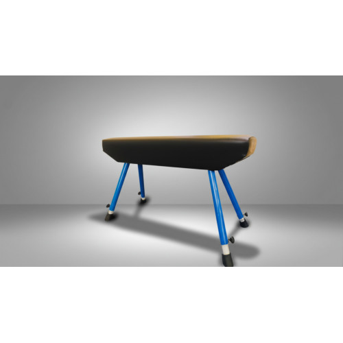 Гимнастический конь