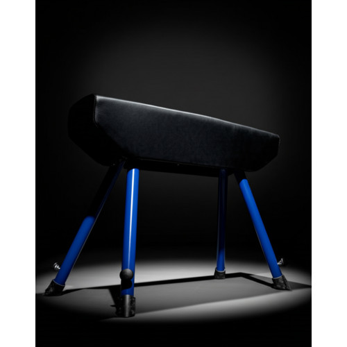 Гимнастический конь