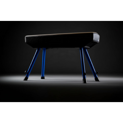 Гимнастический конь