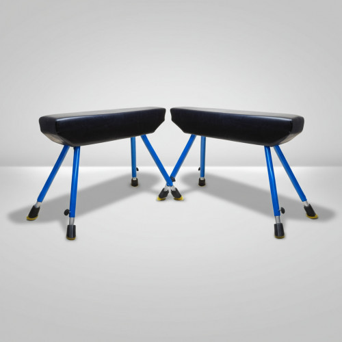 Гимнастический конь