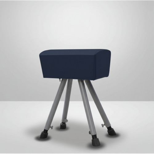 Козел гимнастический