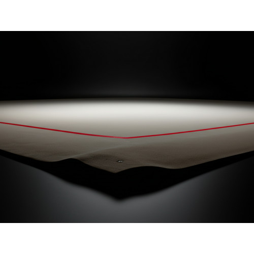 Ковер гимнастический 13х13