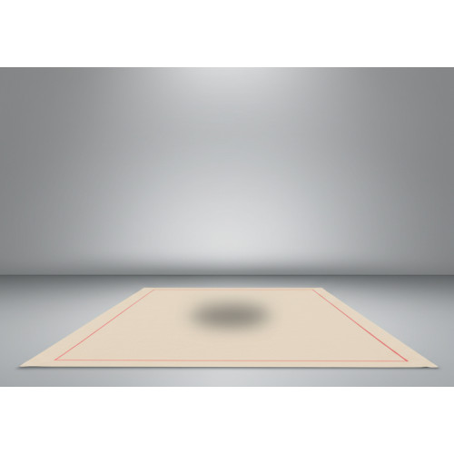 Ковер гимнастический 13х13