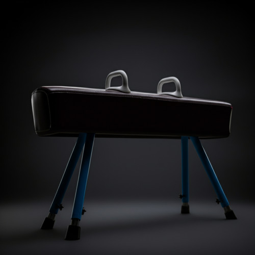 Гимнастический конь маховый