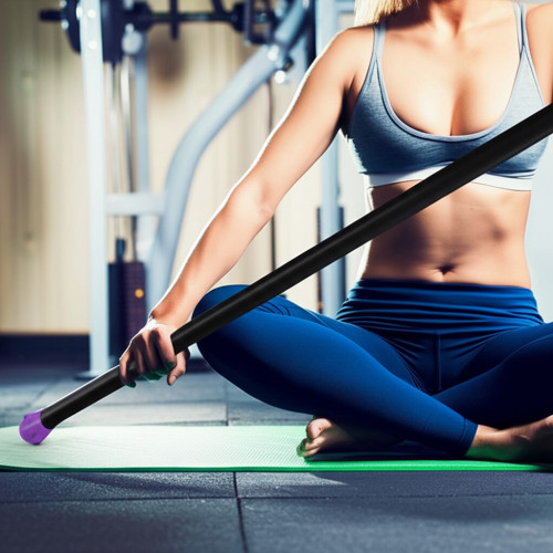 Бодибар, 7 кг, фиолет