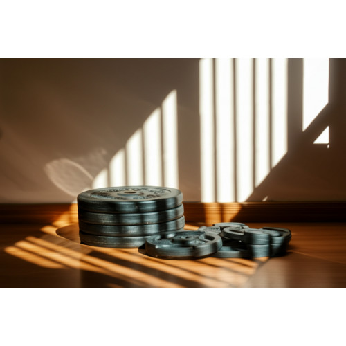 Диск для штанги Рекорд 1,25 кг, D51 мм