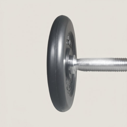 Обрезиненный диск Антат 2,5 кг, 31 мм