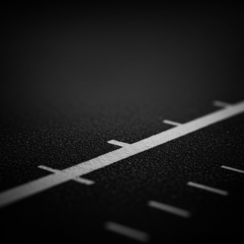 Дорожка облегченная для прыжков в длину (3,5м)