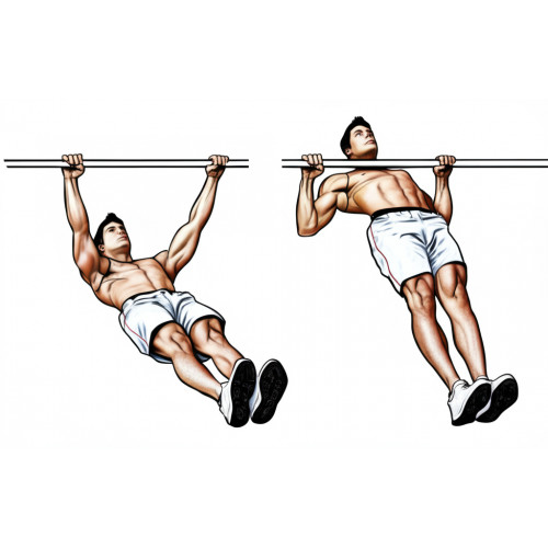 Низкая перекладина для подтягивания из виса лежа